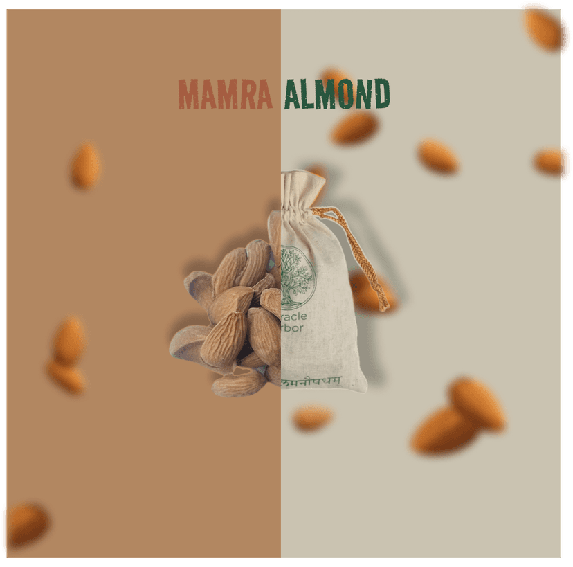 LOVE KASHMIRI ALMOND ?