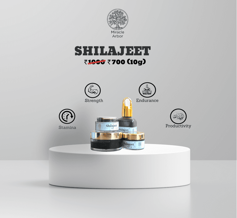 SHILAJEET FROM NUBRA VALLEY